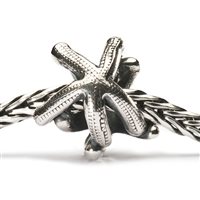 Charm Trollbeads Beads in Argento TAGBE-20041 - TAGBE-20041
